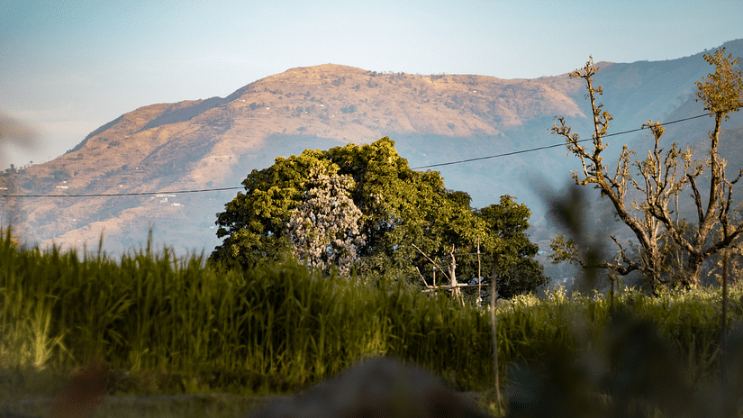 The Tattwaa Corbett Spa and Resort - image lush greenery and hill in the background