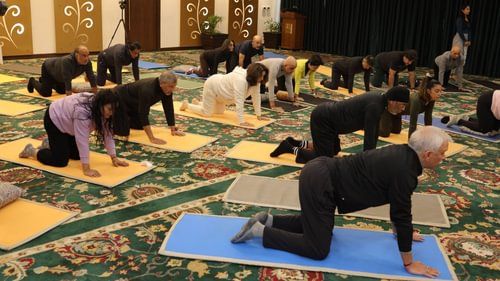 An image of a group of people performing yoga on a yoga mat at Heritage Village Resorts & Spa