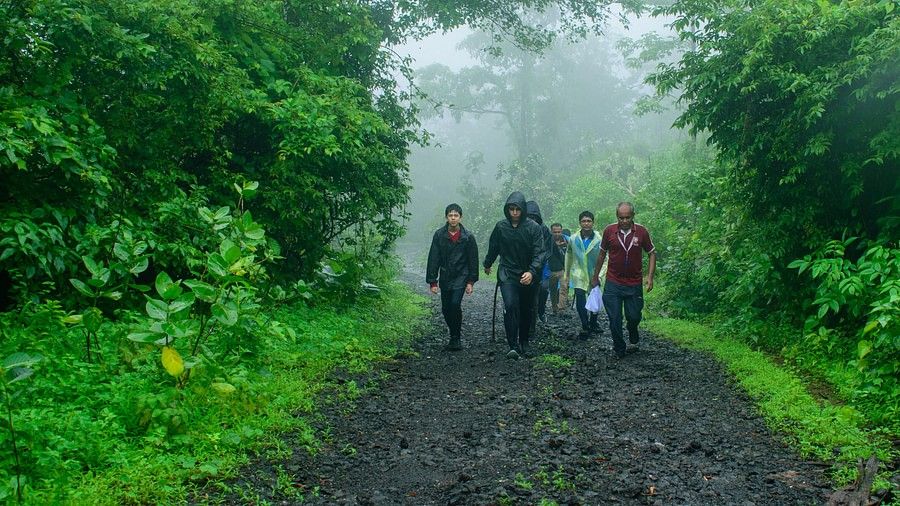 Three men walking on a small road covered with thick fog, wearing raincoats in the middle of a forest