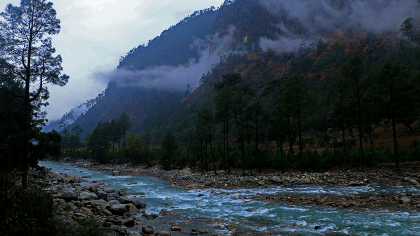 A river flowing by a mountain with lush trees in the surrounding and patches of fog around the mountain