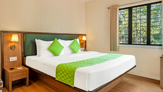 A bedroom with a double bed, green accents, bedside table, and a large window letting in natural light.