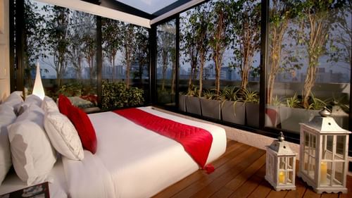 Elegant and stylish room at Night Under the Sky