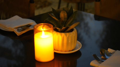 A lit candle sits on a table at Nemesia with a potted plant nearby.