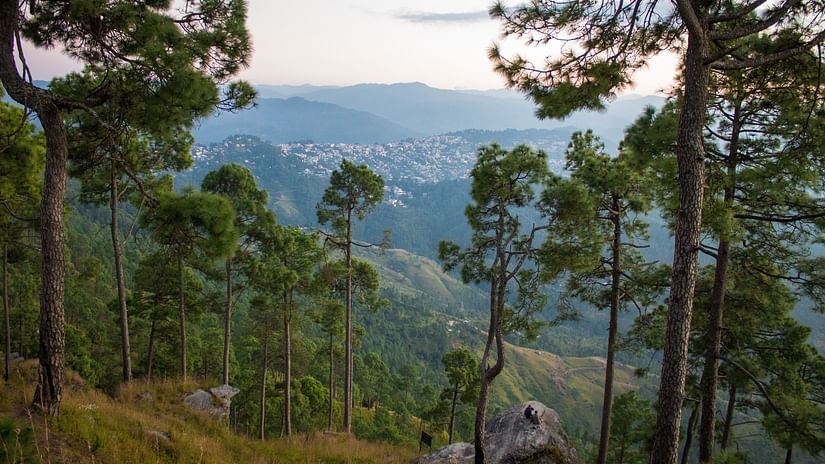 A sweeping panoramic vista of a hilly, forested landscape under a soft, overcast sky, showcasing layers of green trees stretching into the distance towards the horizon