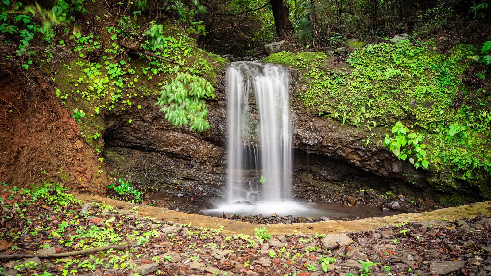 A waterfall flowing down a rocky cliff face and into a clear pool surrounded by green ferns - Tranquil Piedmont Estates & Resort