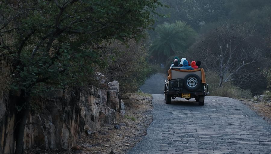 people on a jeep safari in Ranthambore