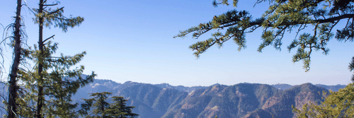 A landscape view of mountains and pine trees under the blue sky
