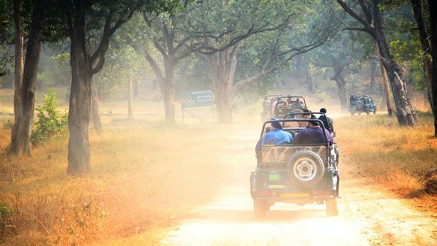 a jeep going on a safari with people sitting on it