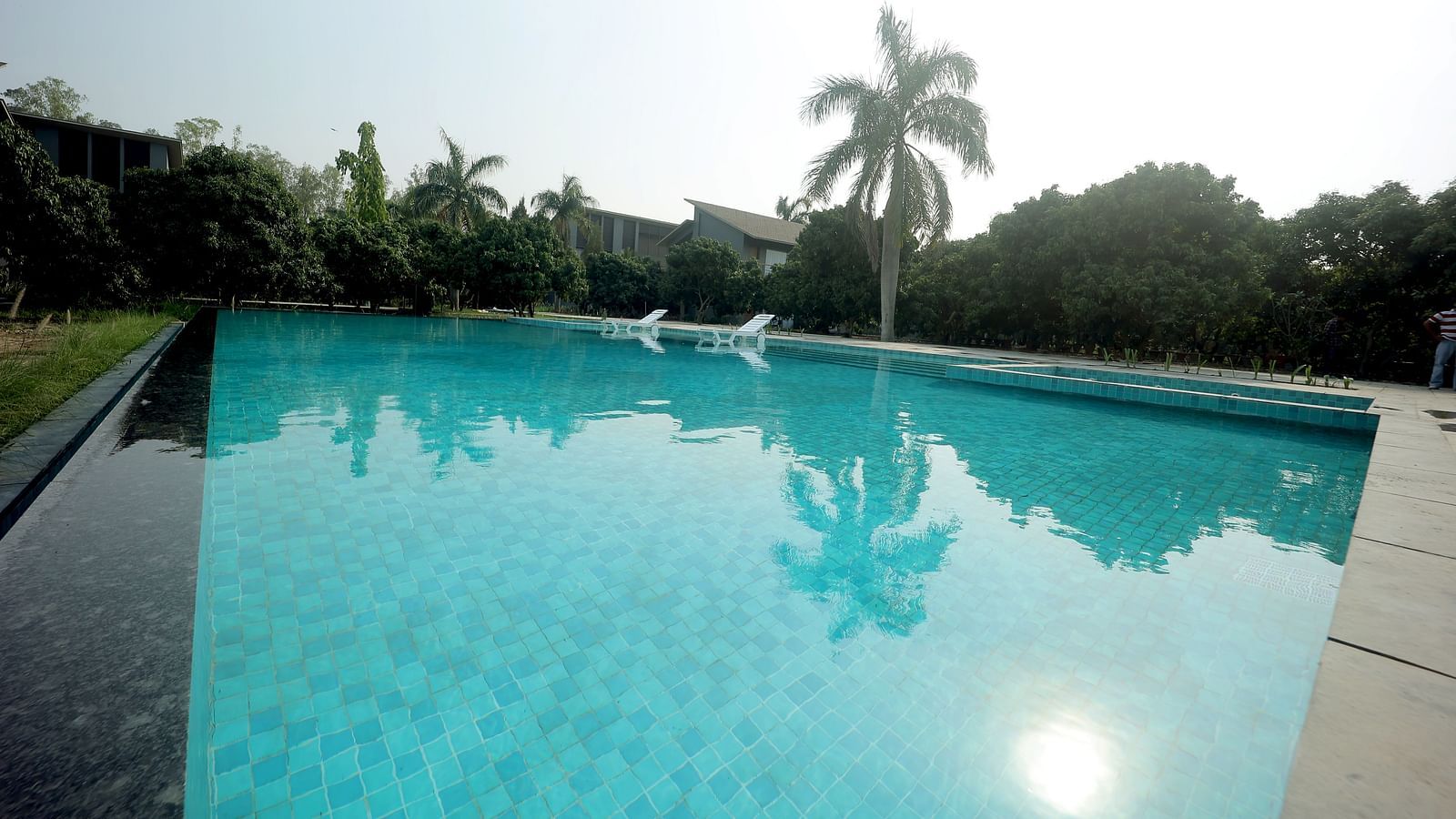 Outdoor swimming pool surrounded by palm trees and tropical greenery under clear skies at Wyndham Garden.