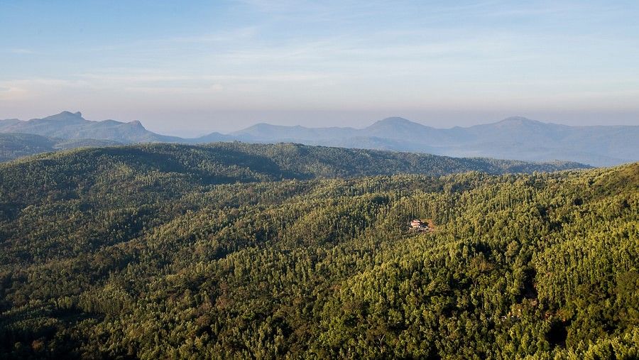 aerial view of hills in Chikmagalur