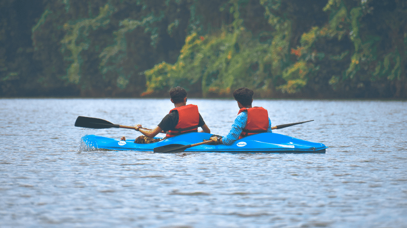 Two people rowing in a kayak with a forest in the backdrop