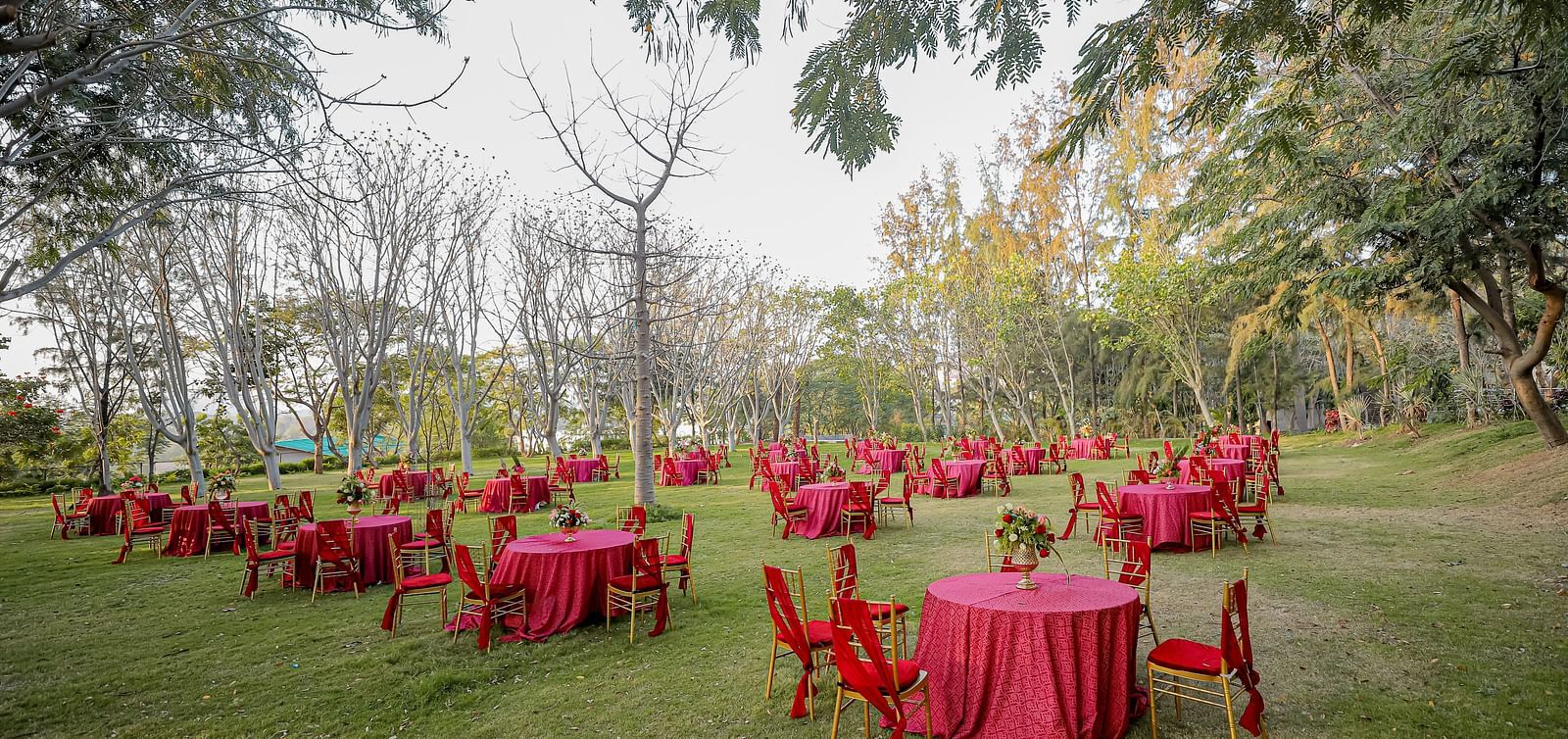 Image of a lawn with chairs and tables neatly arranged.