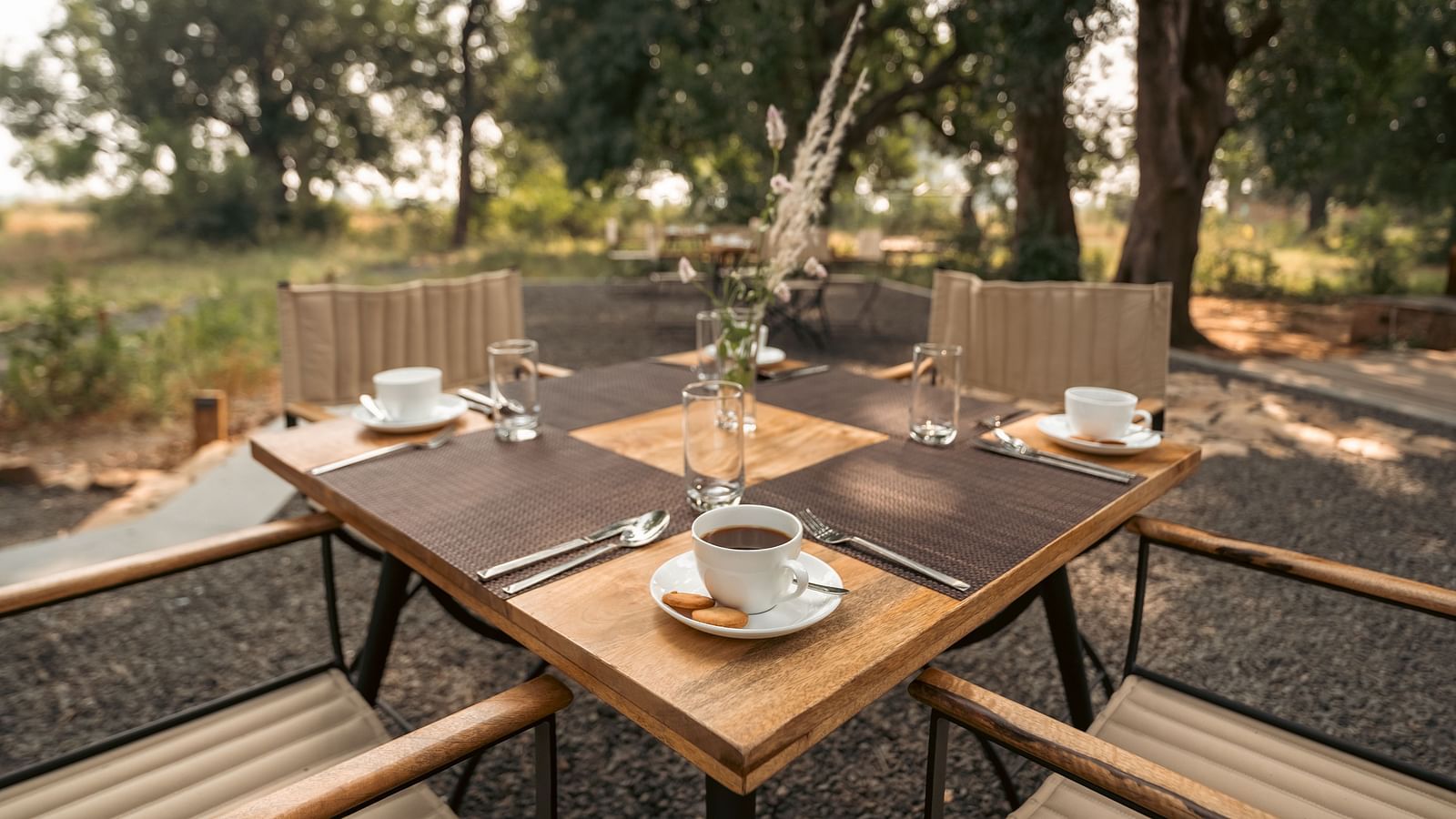 Image of a coffee setup between the jungle at Trees N Tigers, Tadoba.