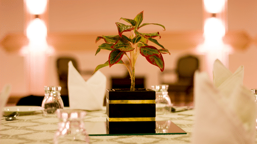 Darbar Hall Decoration