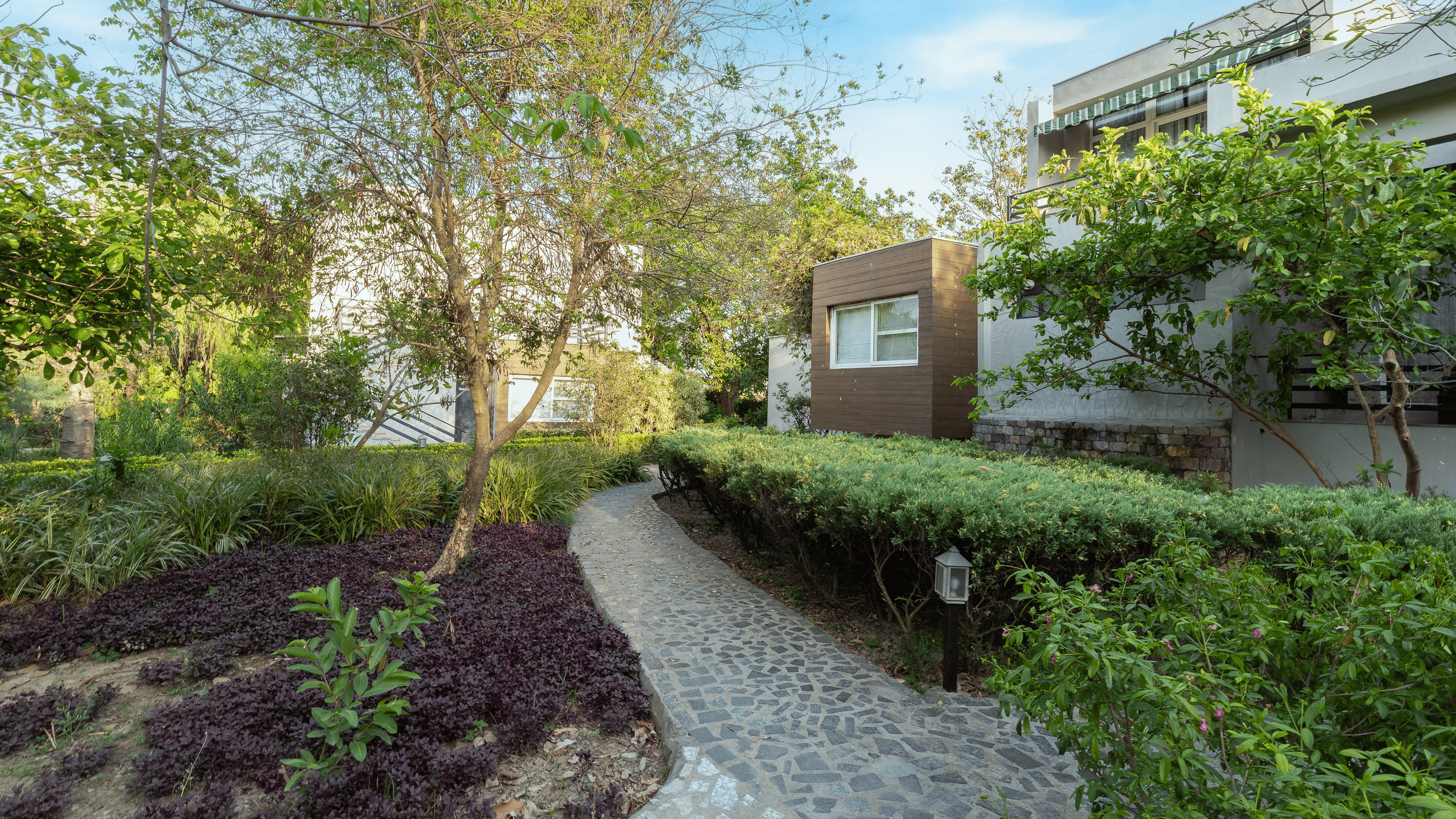 Golden Tusk Shoot-IMG 0740