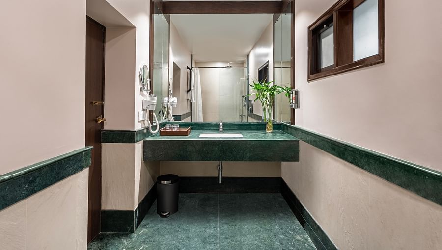 Ganga View Room Washroom 2