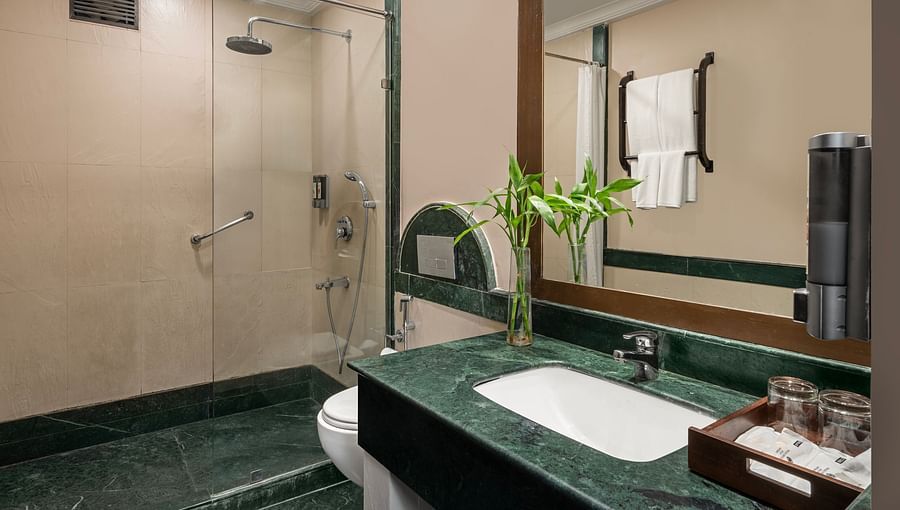 Maharaja Suite Washroom