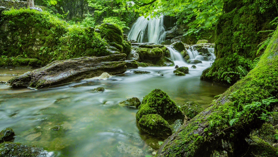 beautiful-cascade-creek-460621
