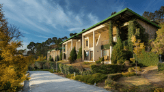 Facade of Suryavilas Luxury Resort and Spa in Solan with a paved driveway and green climbing plants on its exterior walls, under a blue sky with clouds
