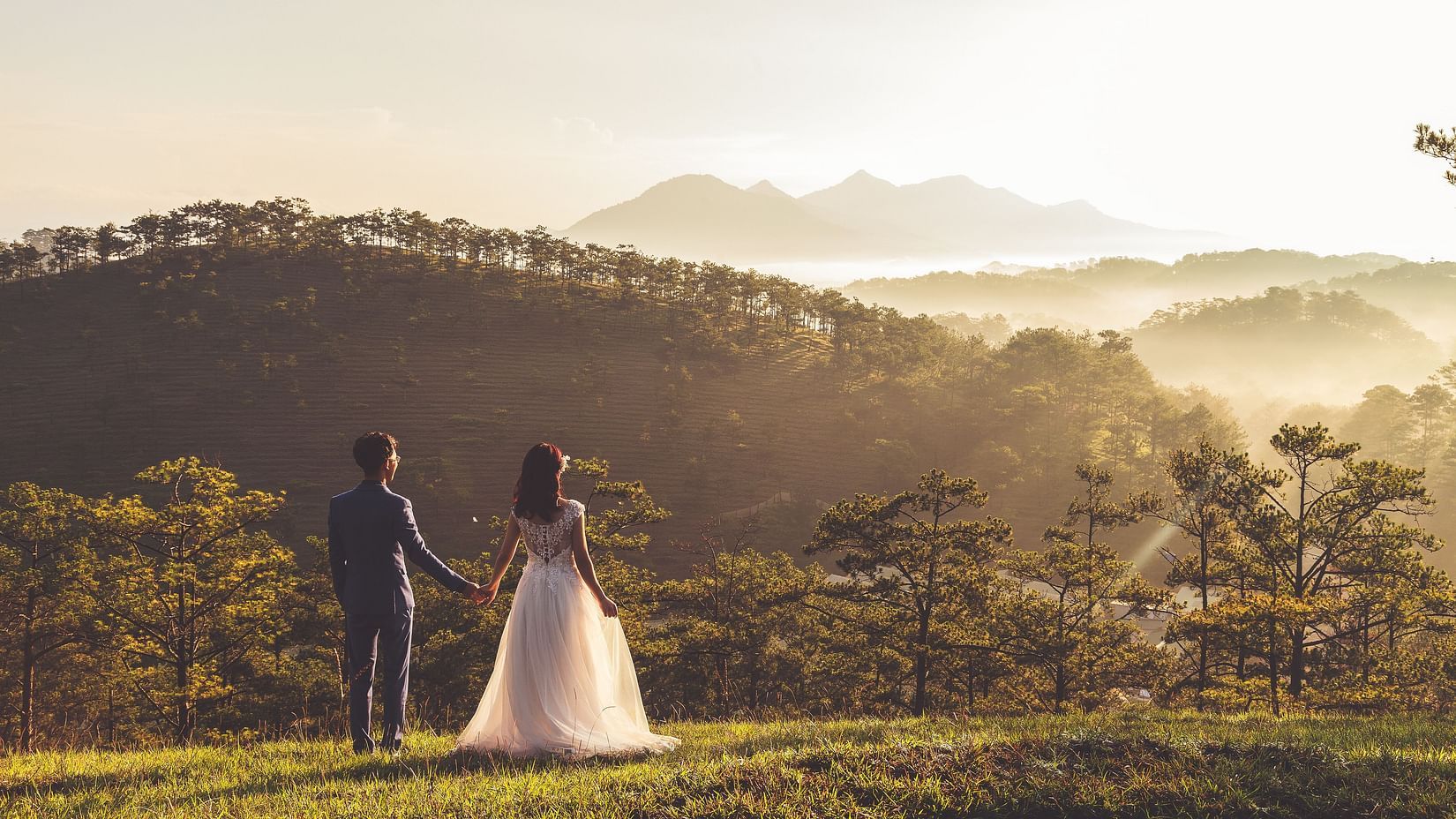 A couple holding hands and gazing at the sun