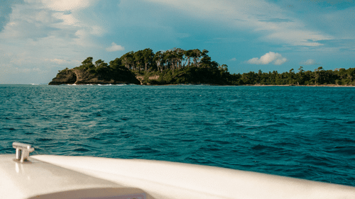 view of a lush island from a boat