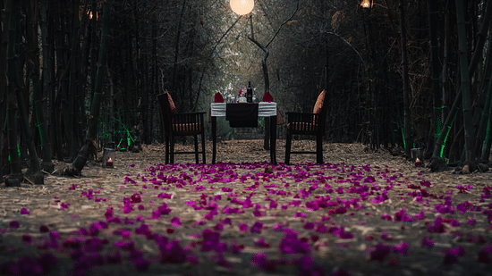 Shot of a romantic dining set set up at Serai Bandipur with a backdrop of forest.