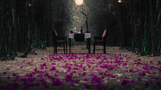 A view of a romantic dining set set up at Serai Bandipur, one of the most Romantic Places near Bangalore, with a backdrop of forest.