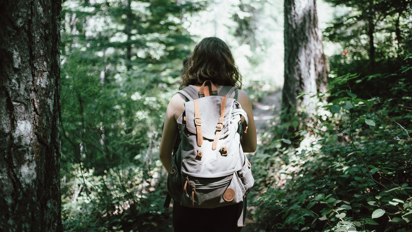 an image of a Lady Trekking in a pathway amidst the woods