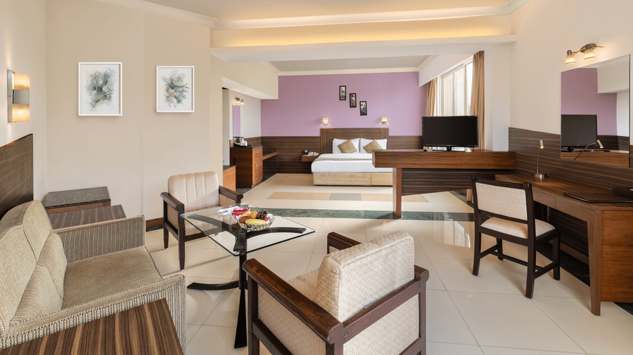 Shri Demo Hotel New York Deluxe Room 2