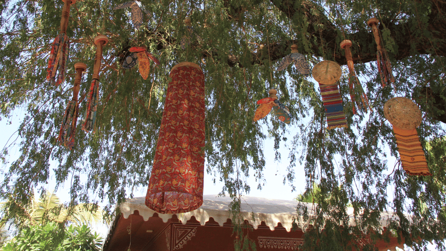 Lanterns hanging from the branches of a large green tree in the outdoor grounds of Garh Govind.
