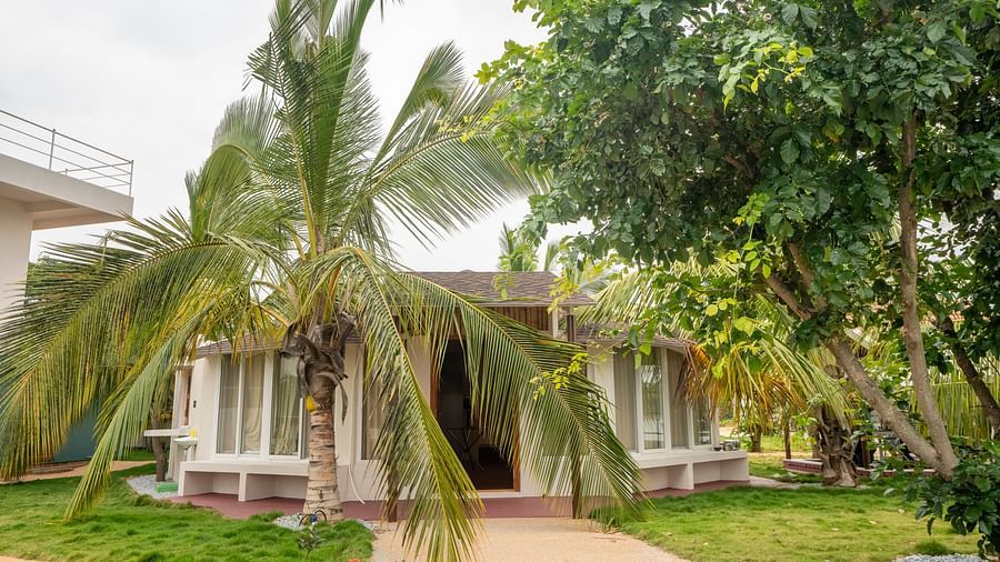 Side view image of resort property with palm tree