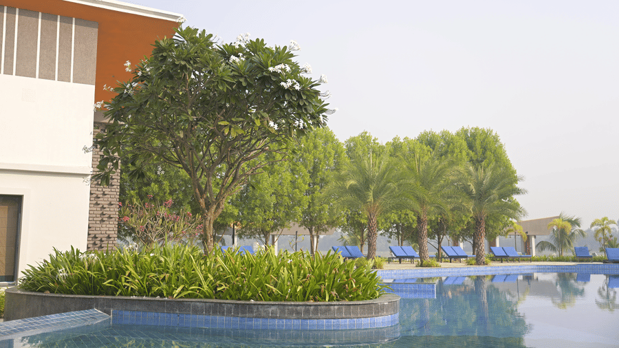 A swimming pool surrounded by green trees and hotel buildings at Hotel Sonar Bangla, Mayapur.