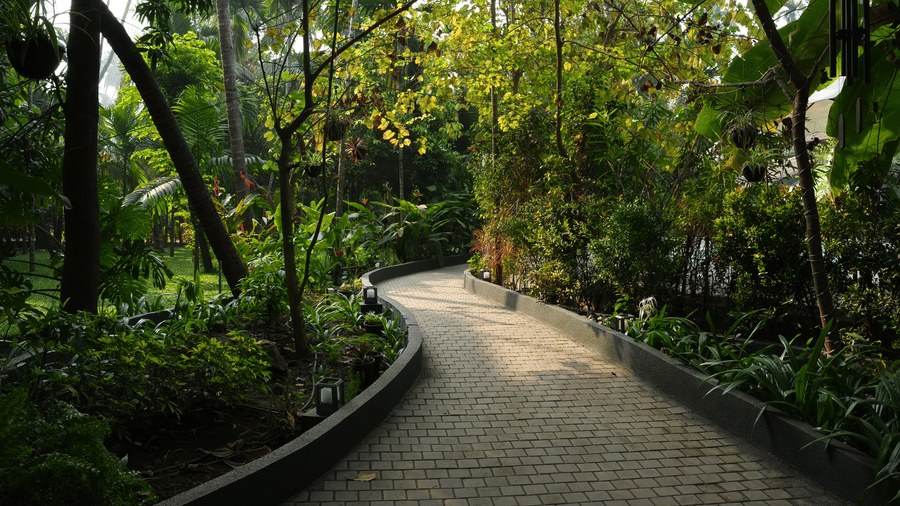 A curved paved pathway winds through a forested area and tropical plants at Oceanature Resort, Alibaug.