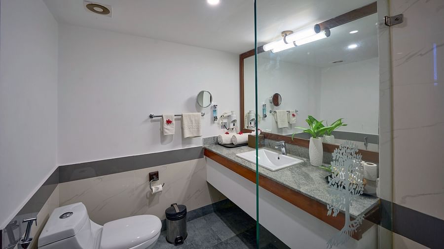 An image of a washroom with a big mirror, toilet seat and a sink - Rhythm Kumarakom