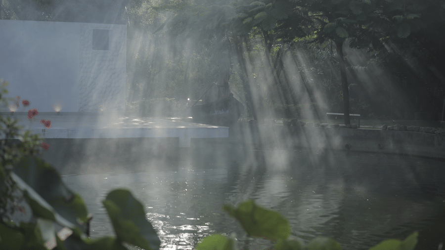Nature-11