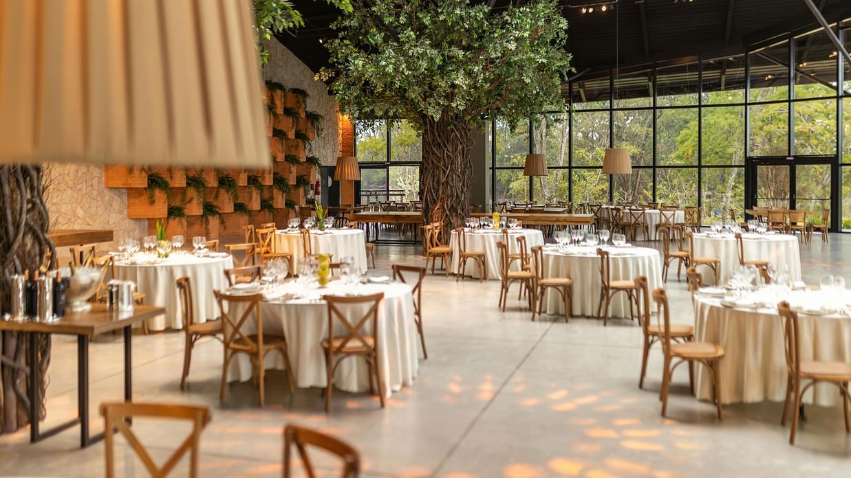 A spacious, modern restaurant with natural light, high ceilings, and trees integrated into the design.
