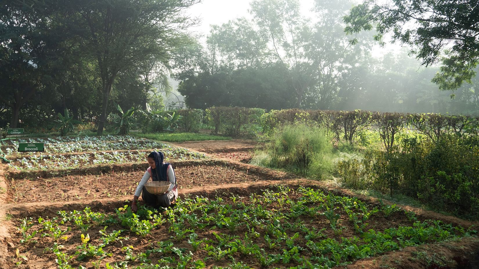 An overview of the agriculture land - Karma Lakelands.