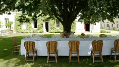 A peaceful outdoor seating area with rows of chairs under large trees, perfect for gatherings