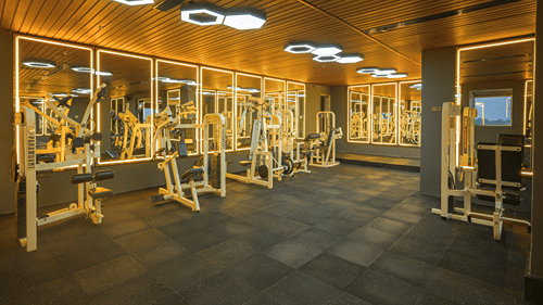 Modern hotel fitness centre equipped with treadmills, weight machines, benches and other workout equipment.