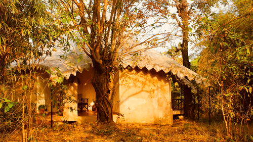 Cottage at Infinity Resorts Kanha, Cottages in Kanha