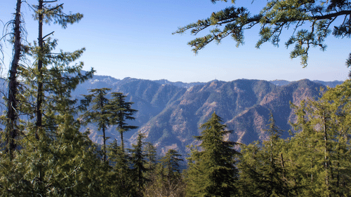 A landscape view of mountains and pine trees under the blue sky