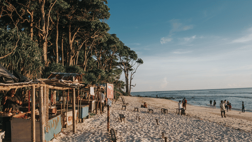 people, trees ,and shacks on a beach