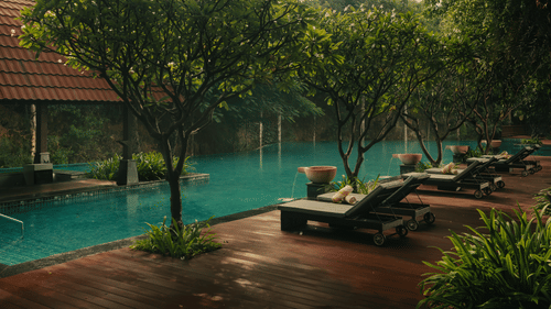A peaceful view of the swimming pool area at The Ananta Udaipur. The water is a light tone bordered by a deck with several lounge chairs. Lush trees and foliage surround the pool creating a calm atmosphere. A building with a roof is visible in the backgrou