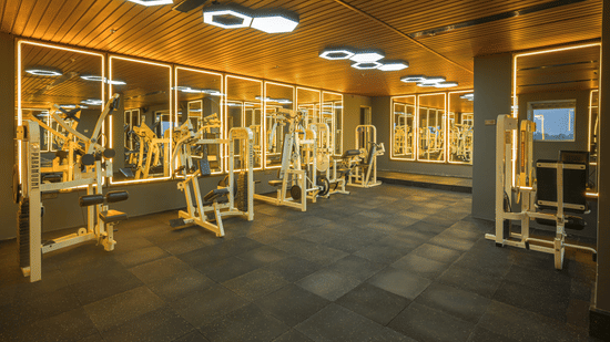 Modern hotel fitness centre equipped with treadmills, weight machines, benches and other workout equipment.