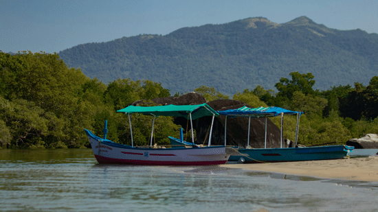 pexels-debargha-bhattacharya-1376058906-25951209