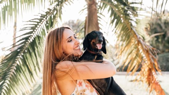 Pet friendly hotel in north goa