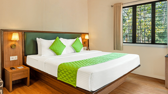 A bedroom with a double bed, green accents, bedside table, and a large window letting in natural light.