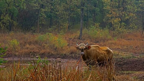 DSC03431 E