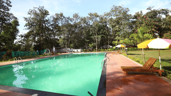swimming-pool sajan-Refreshing outdoor pool at Nature Trails Sajan, perfect for relaxation and fun.