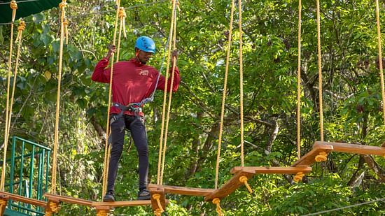Person participating in a rope bridge adventure activity in a forest setting. | Stone Wood Jungle Resort, Dandeli